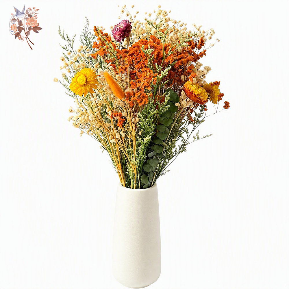 Eucalyptus Preserved - Bouquet de fleurs séchées d'automne, herbe