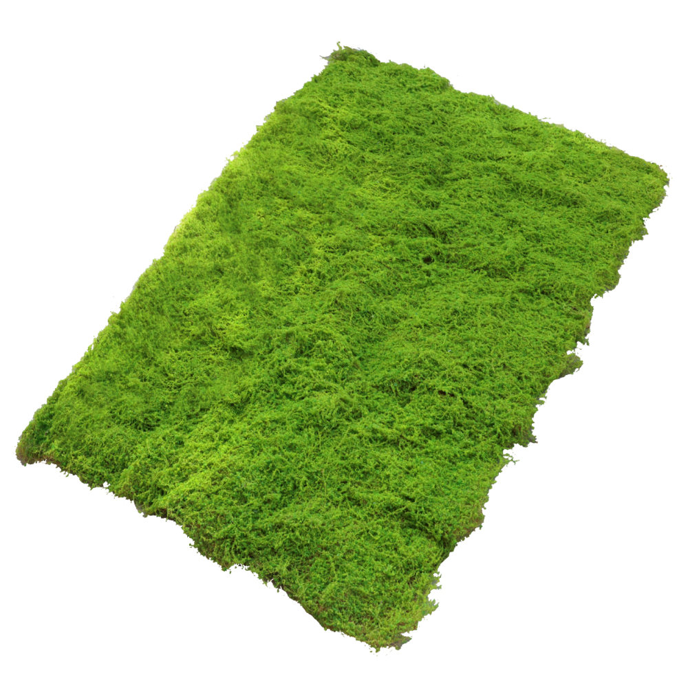 Tapis de gazon artificiel en f - Preserved Moss Sheet avis et prix