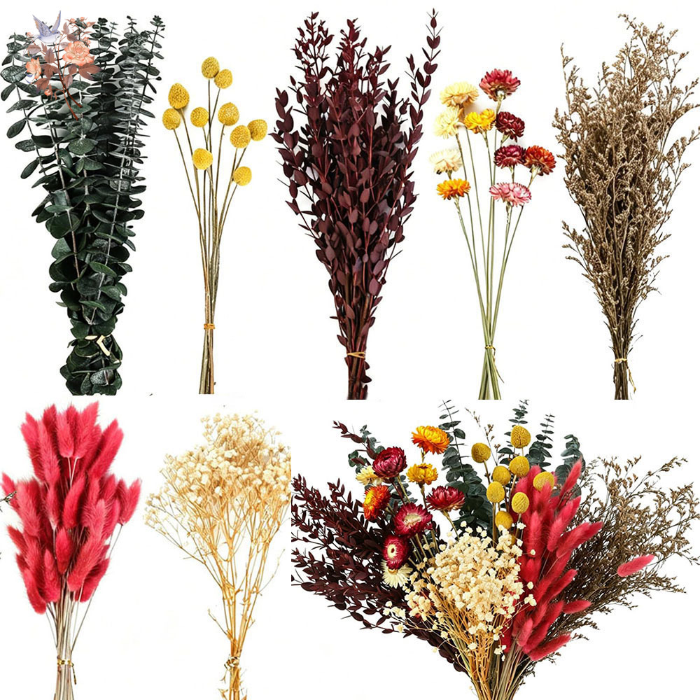 Ensemble de fleurs séchées en  - Florist Supply Bulk avis et prix