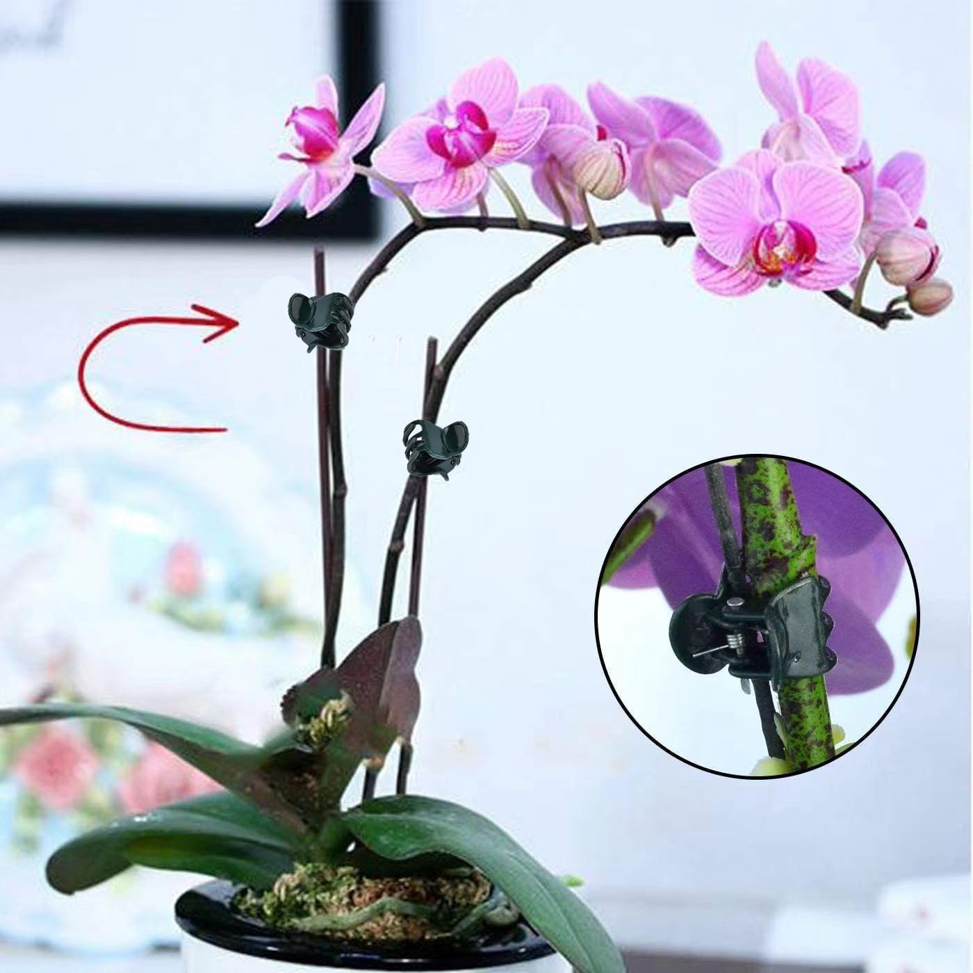 Mini pinces pour plantes, lot  - Florist Supply Bulk avis et prix