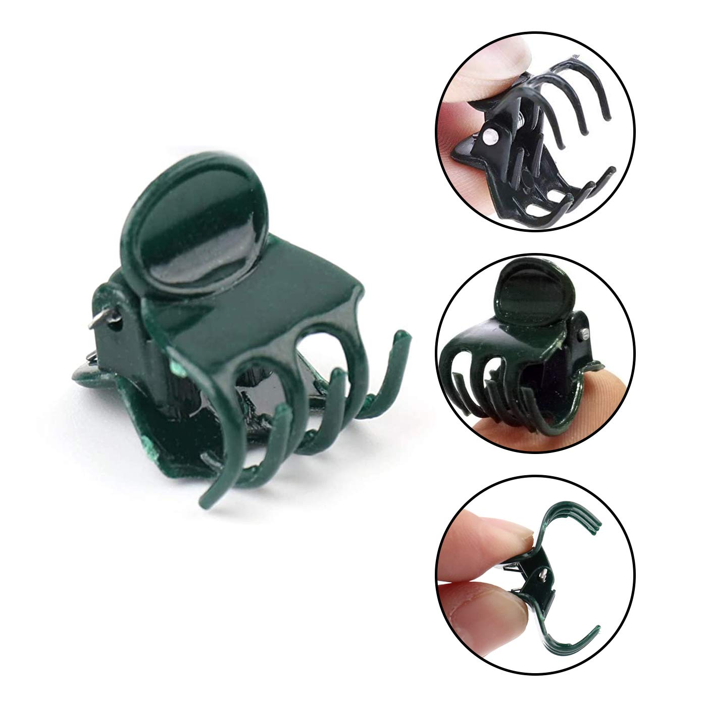 Mini pinces pour plantes, lot  - Florist Supply Bulk avis et prix